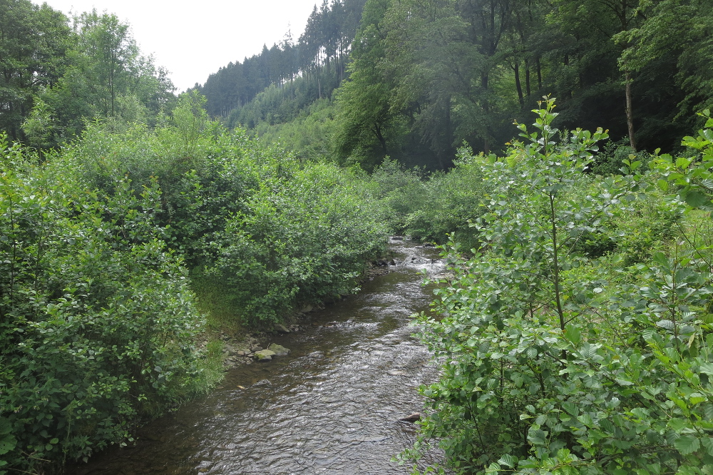 Lennesteig #01: Hohenlimburg - Nachrodt