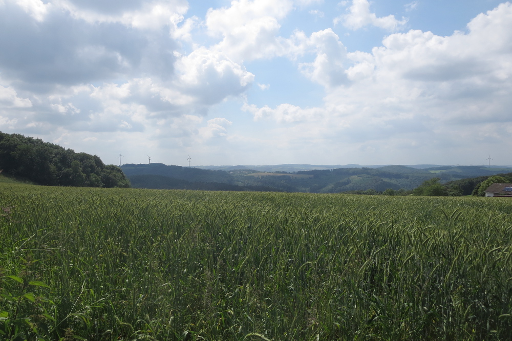 Lennesteig #01: Hohenlimburg - Nachrodt