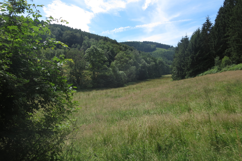 Lennesteig #04: Werdohl - Plettenberg