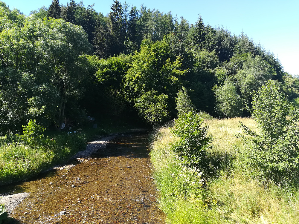 Lennesteig #07: Grevenbrück - Altenhundem