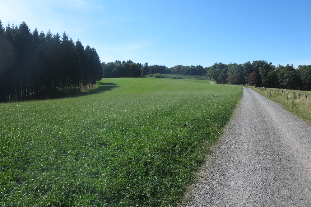 Lennesteig #03: Altena – Werdohl