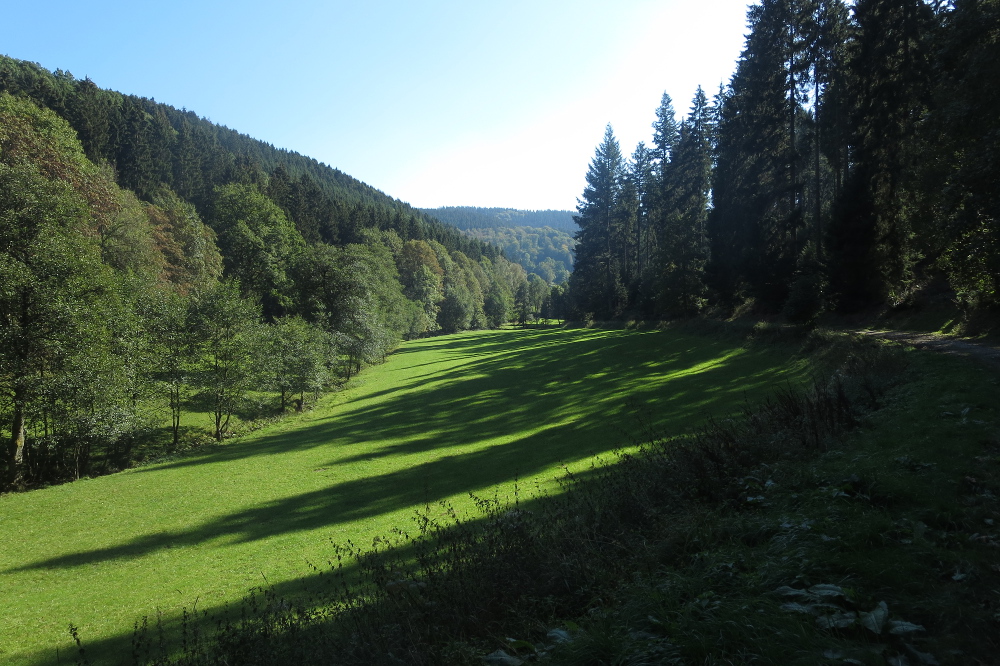 Lennesteig #09: Saalhausen - Schmallenberg - Im Uentroptal
