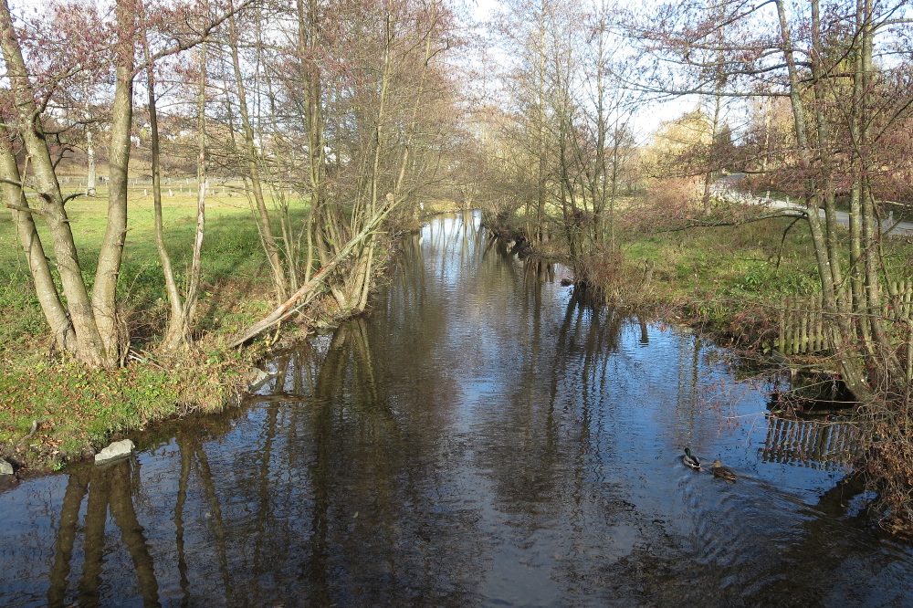 Lennesteig #10: Schmallenberg – Westfeld