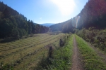 Lennesteig #09: Saalhausen - Schmallenberg - Im Milchenbachtal