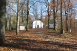 Lennesteig #10: Schmallenberg – Westfeld