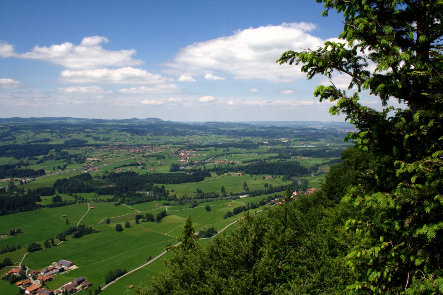 Blick vom Falkenstein