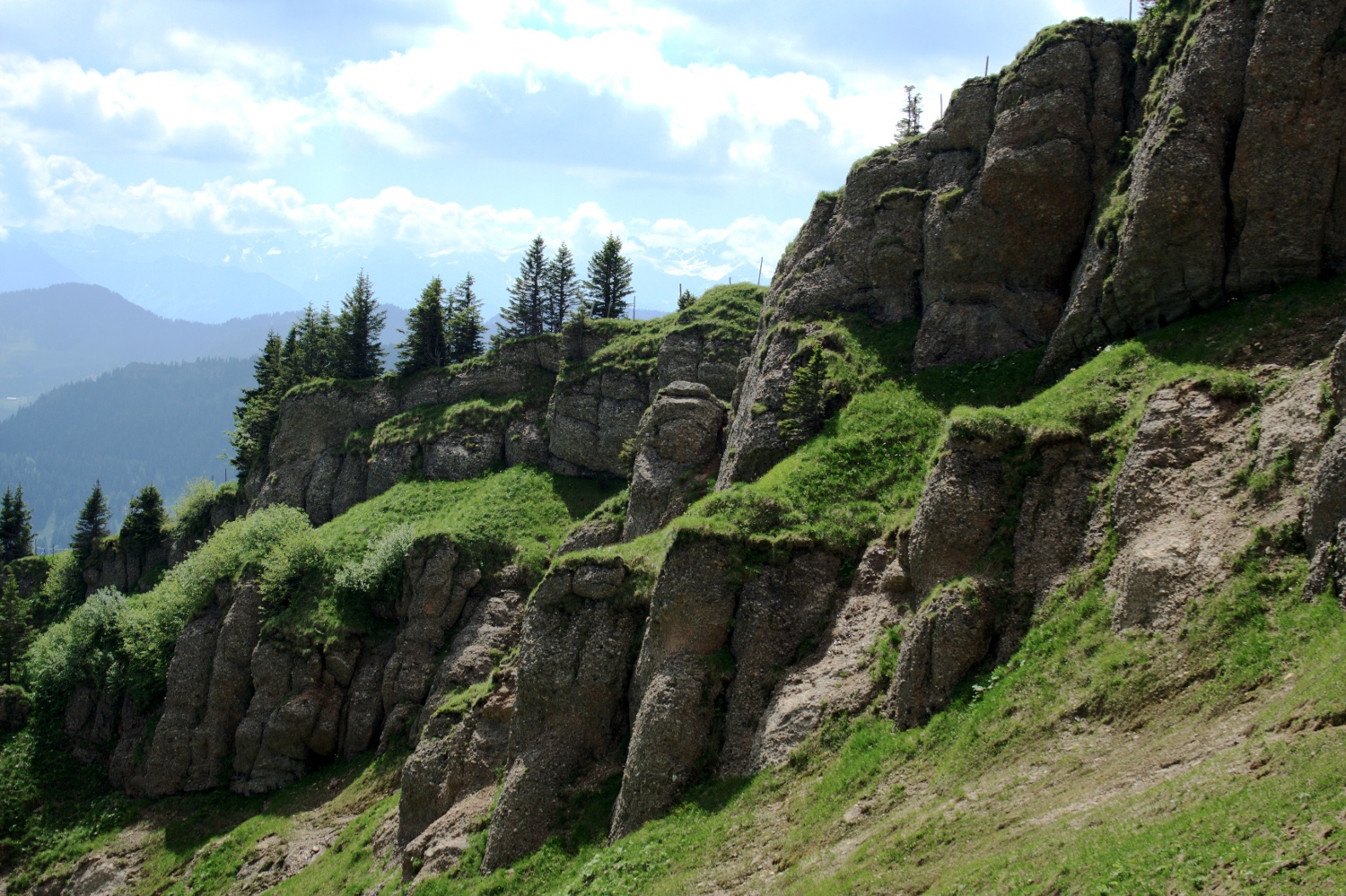 Nagelfluhgestein