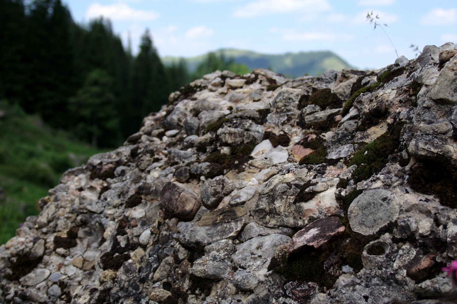 Allgäuer Beton