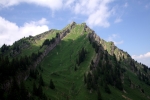 Rindalphorn