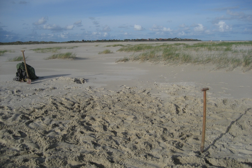 Amrum: Weit weg von Wittdün