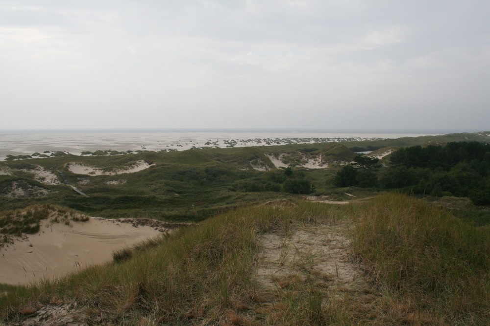 Amrum: In den Dünen