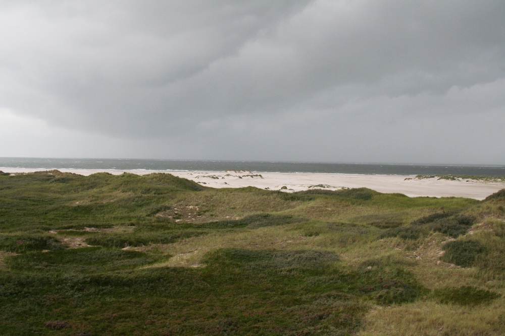 Amrum: Dünen bei Norddorf