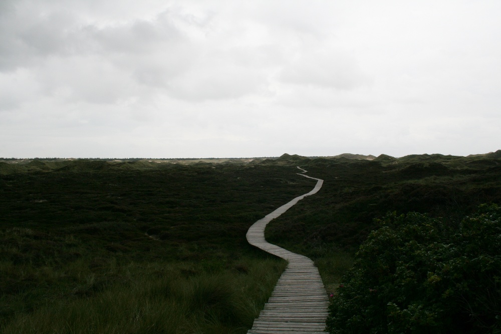 Amrum: Endloser Bohlenweg