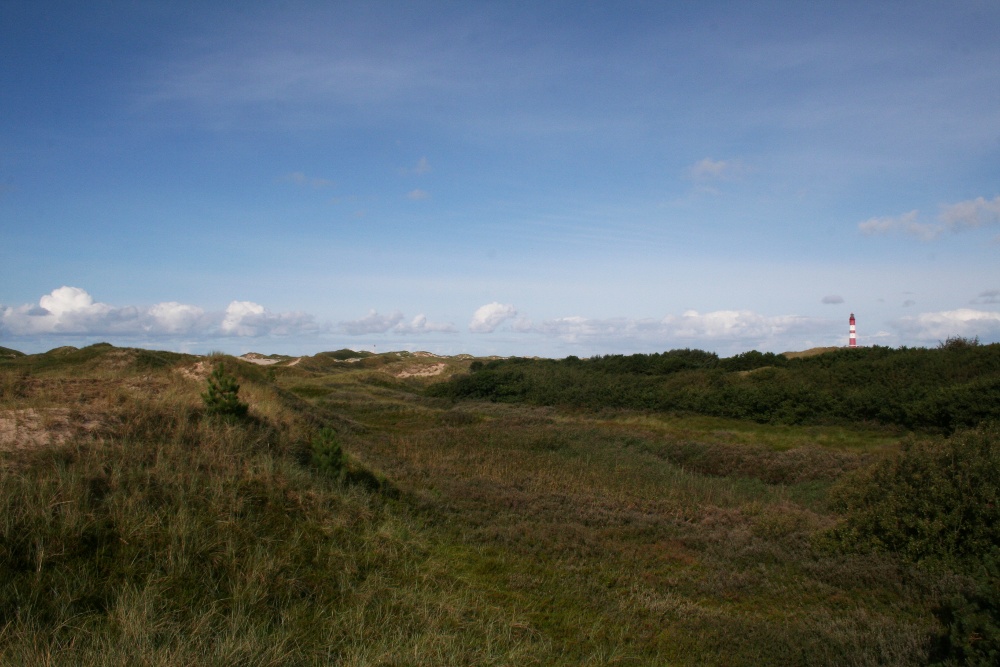 Amrum: In den Dünen