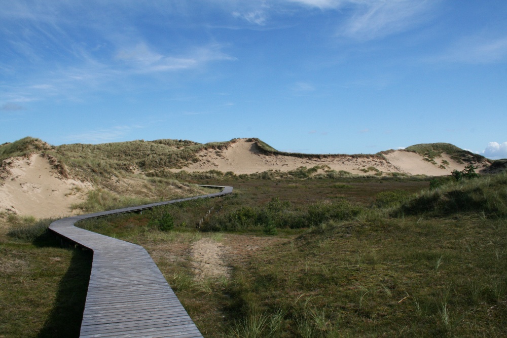 Amrum: Bohlenweg durch die Dünen
