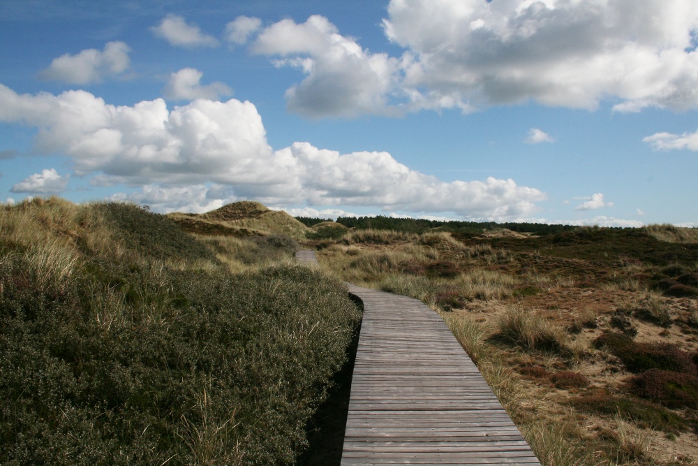 Amrum: Bohlenweg durch die Dünen