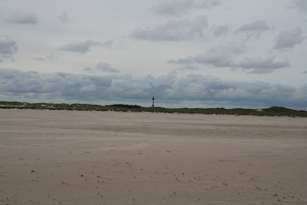 Amrum: Auf Kniepsand