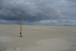 Amrum: Stillleben im Sand