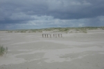 Amrum: Relikte auf Kniepsand