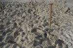 Amrum: Da, wo die Schaufel steckt...
