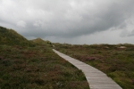 Amrum: Bohlenweg zum Leuchtturm Norddorf