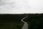 Amrum: Endloser Bohlenweg
