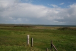 Amrum: Blick auf Föhr