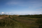Amrum: In den Dünen