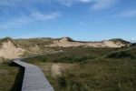 Amrum: Bohlenweg durch die Dünen