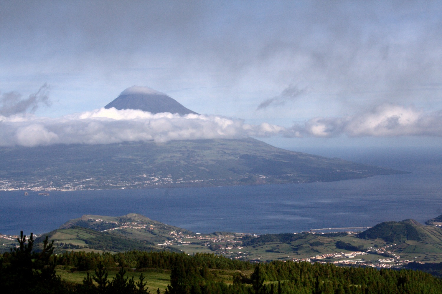 Pico