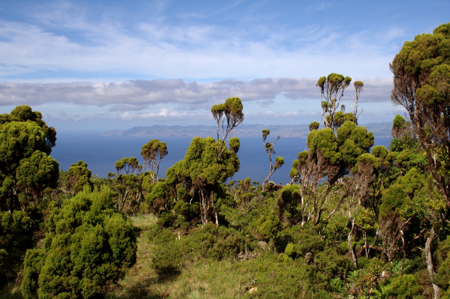 Blick auf Sao Jorge