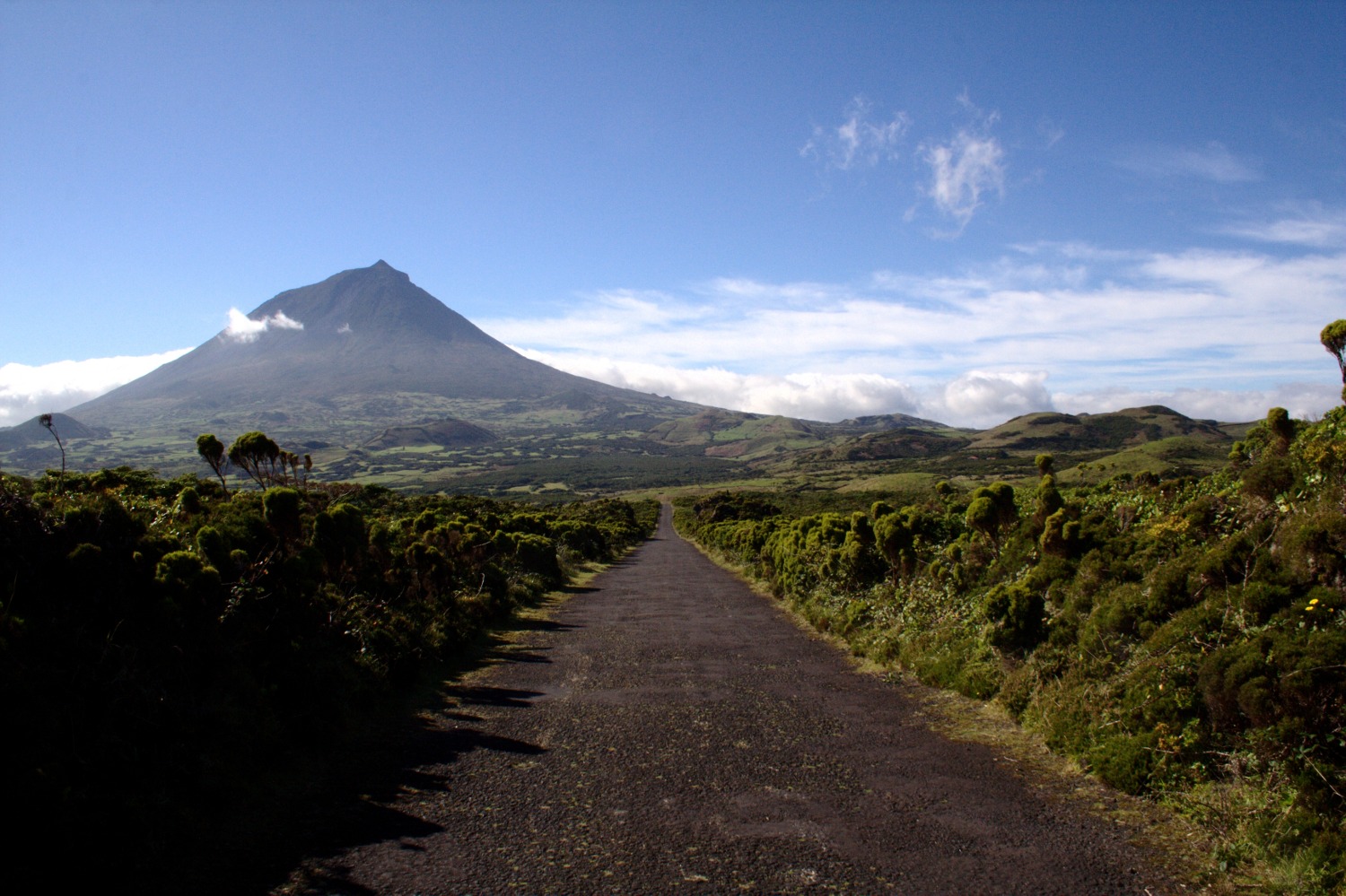 Pico
