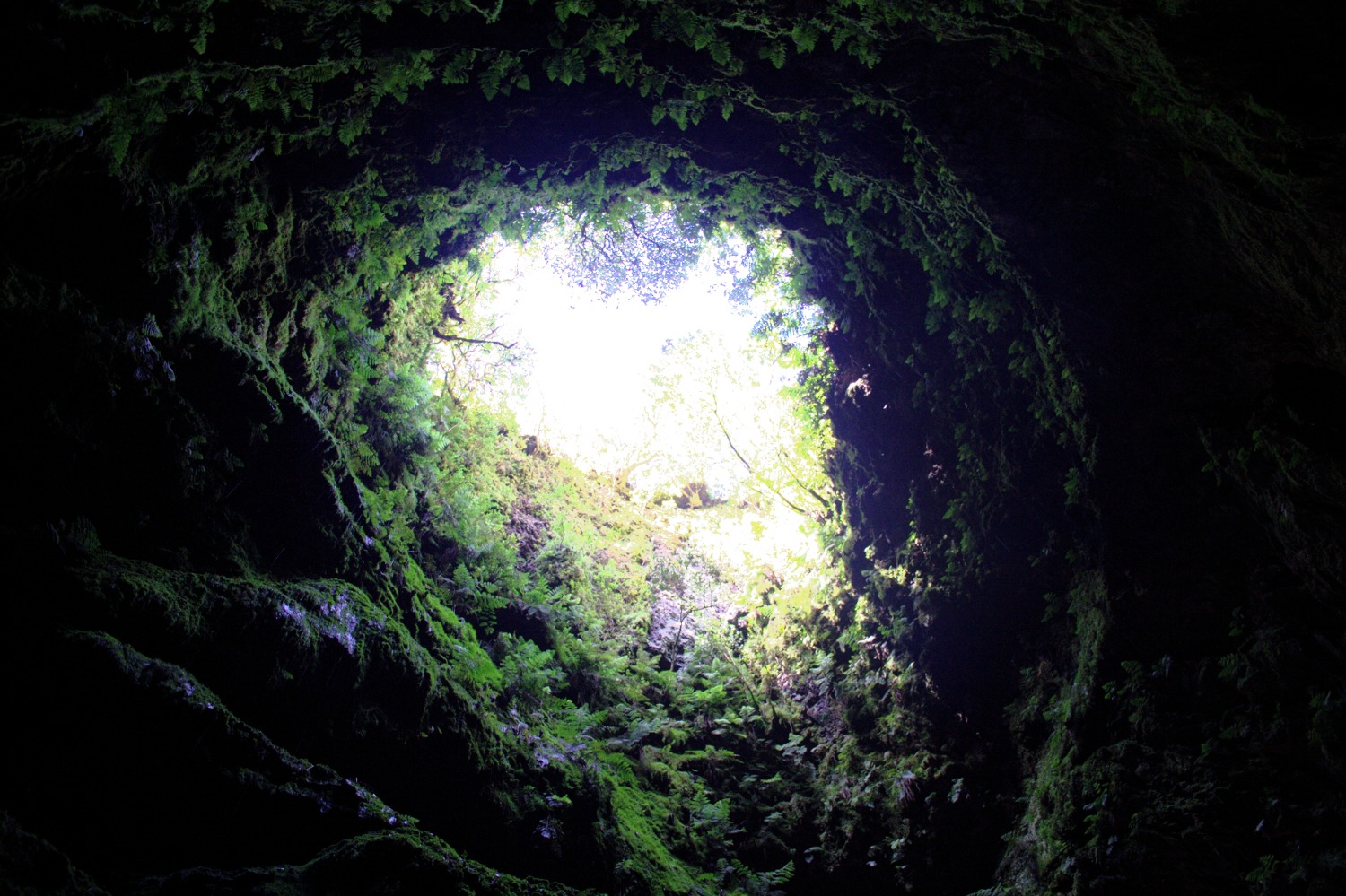 Algar do Carvao - der Blick aus dem Vulkan