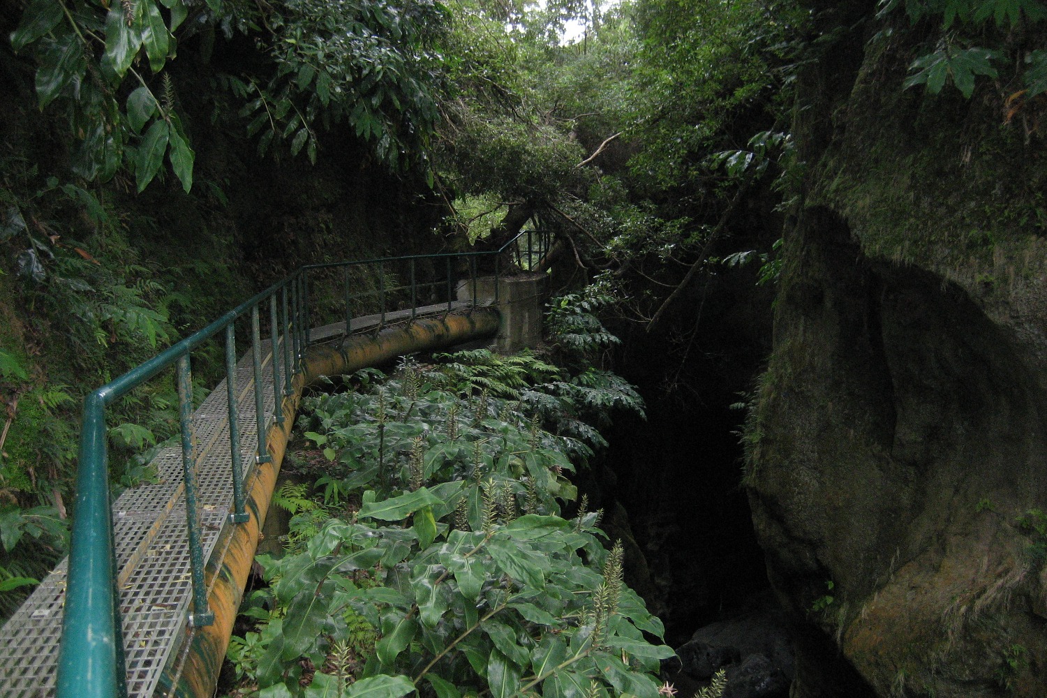 Im Tal der Ribeira Grande