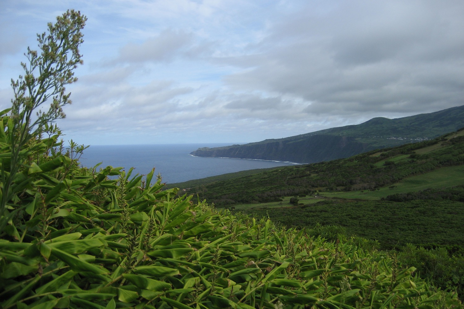 Faial - Nordküste