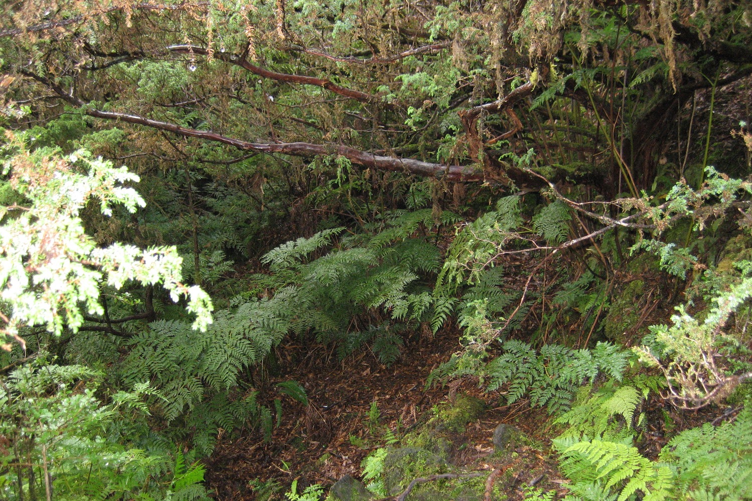 Such den Wanderweg...