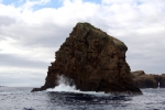 Felsen zwischen Faial und Pico