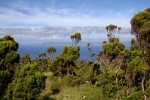 Blick auf Sao Jorge