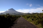 Pico