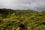 Im Hochland von Terceira
