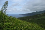 Faial - Nordküste