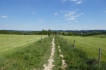 Bergischer Streifzug #3 – Heimatweg