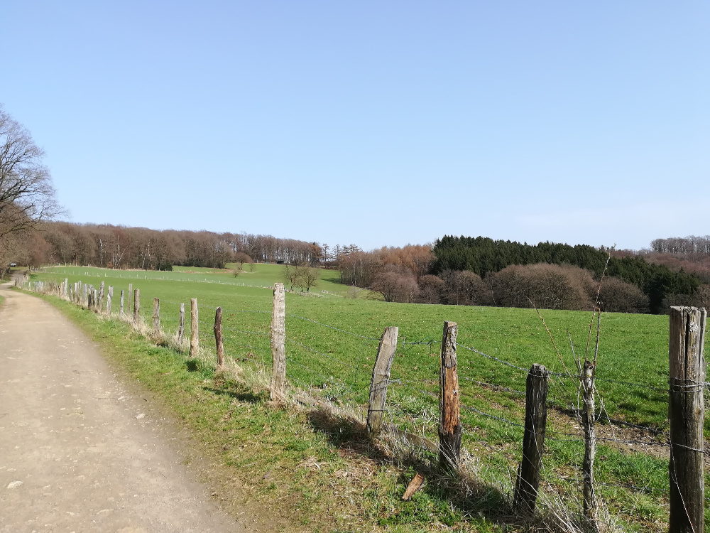 Bergische Wanderungen: Zwischen Ennepe und Wupper