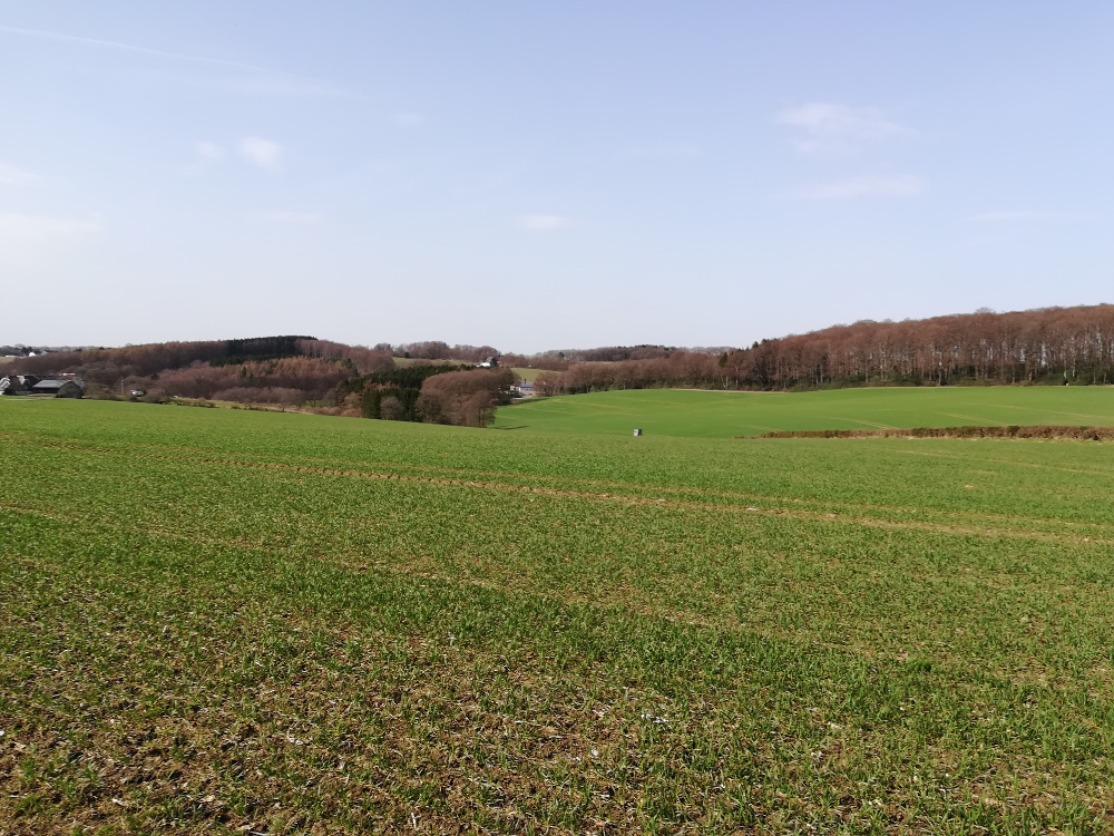 Bergische Wanderungen: Zwischen Ennepe und Wupper