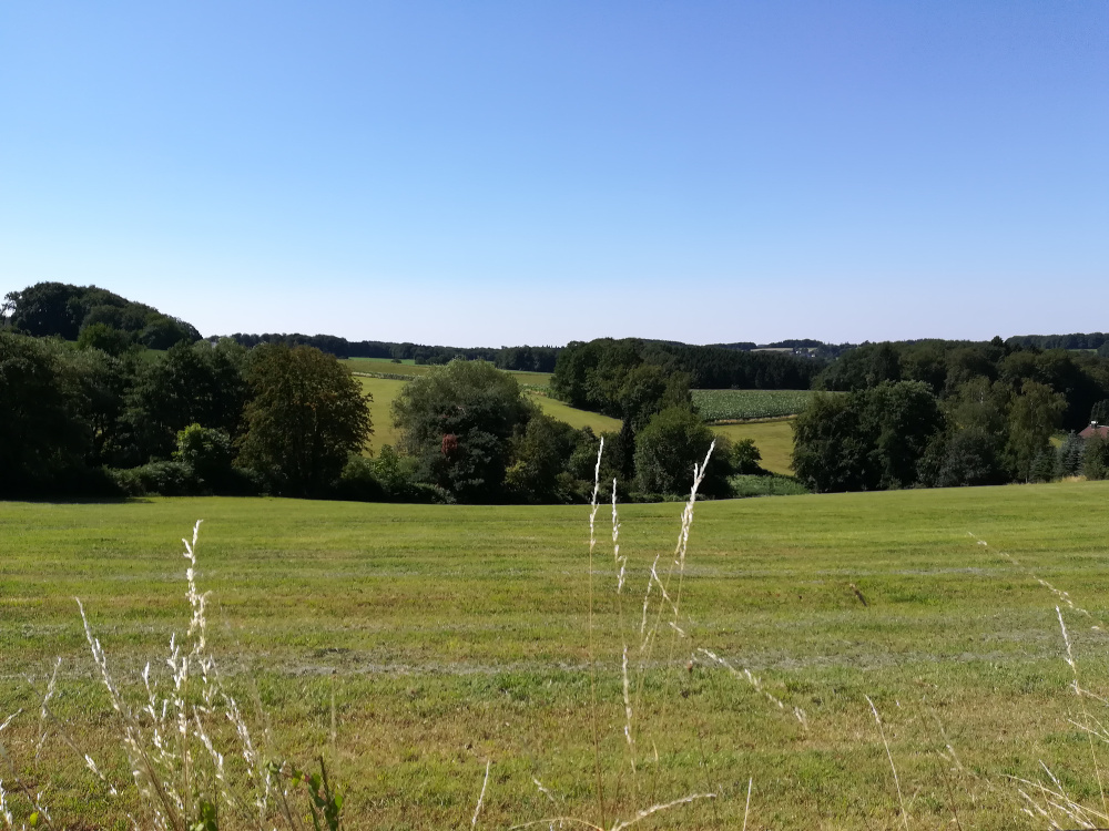 Bergische Wanderungen: Romantisches Eifgenbachtal