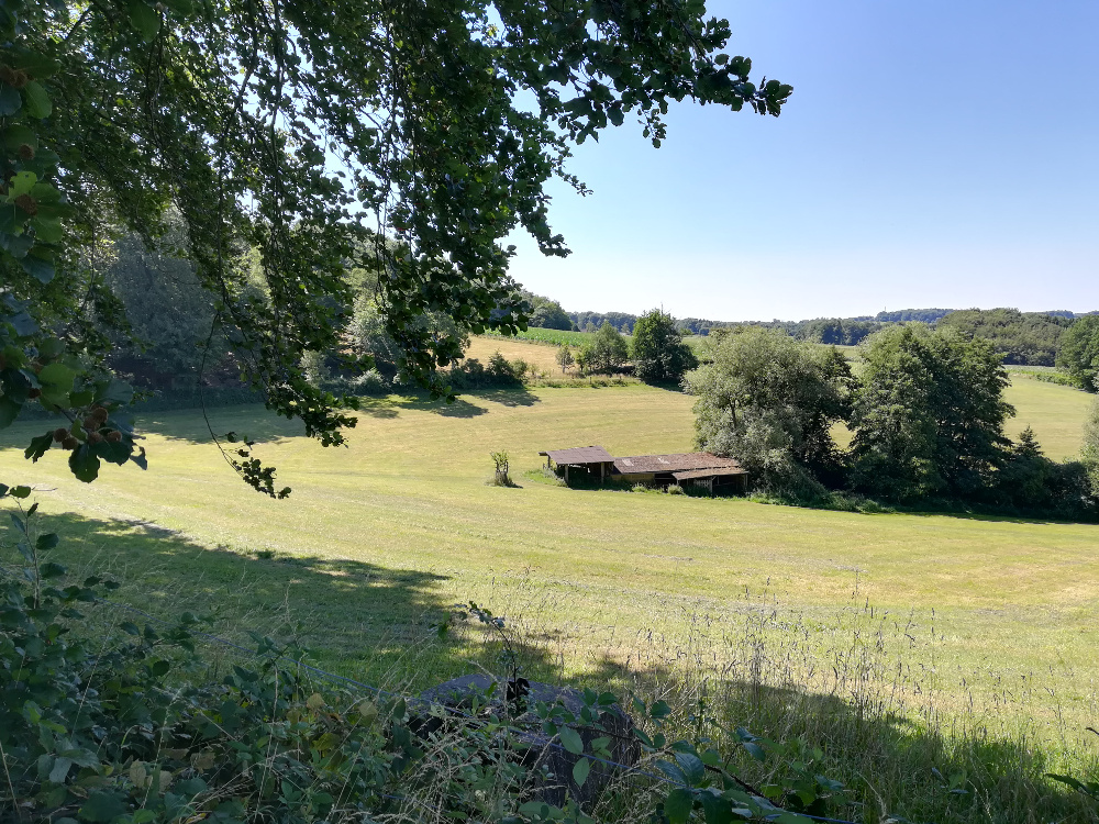 Bergische Wanderungen: Romantisches Eifgenbachtal
