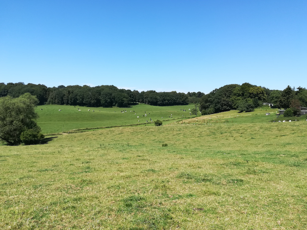 Bergische Wanderungen: Romantisches Eifgenbachtal