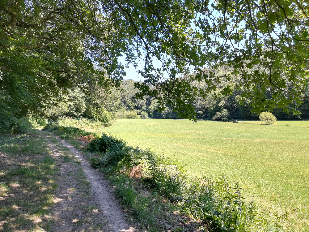 Bergische Wanderungen: Romantisches Eifgenbachtal