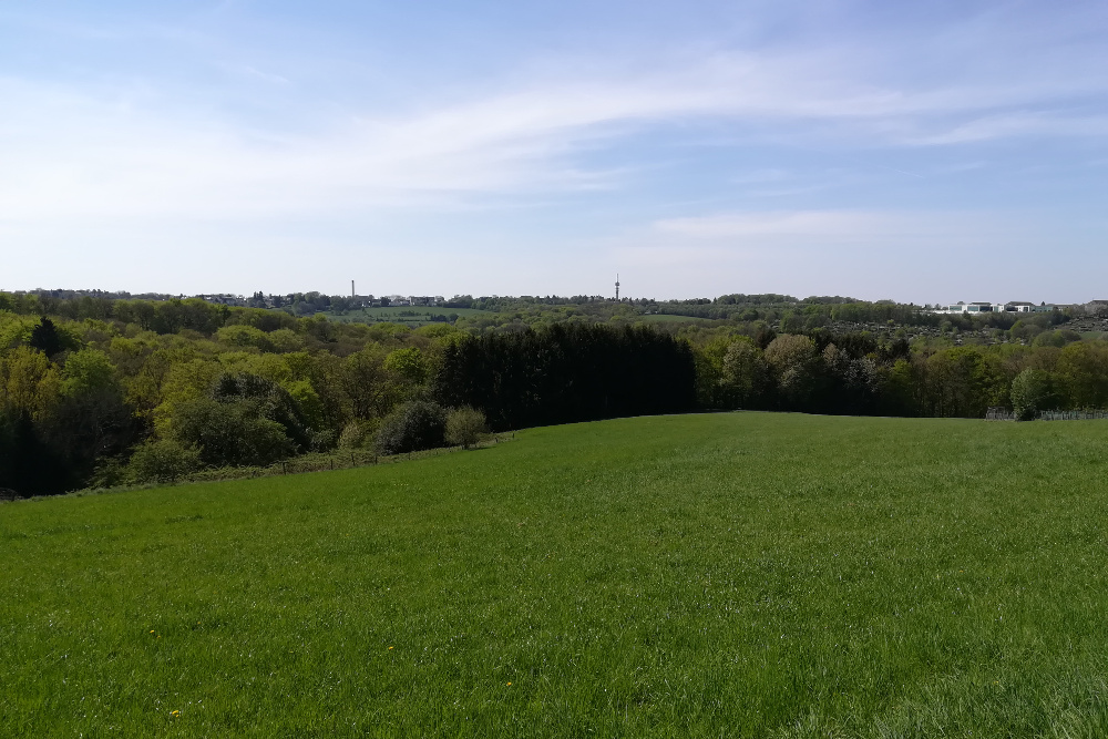 Bergische Wanderungen: Gelpetal