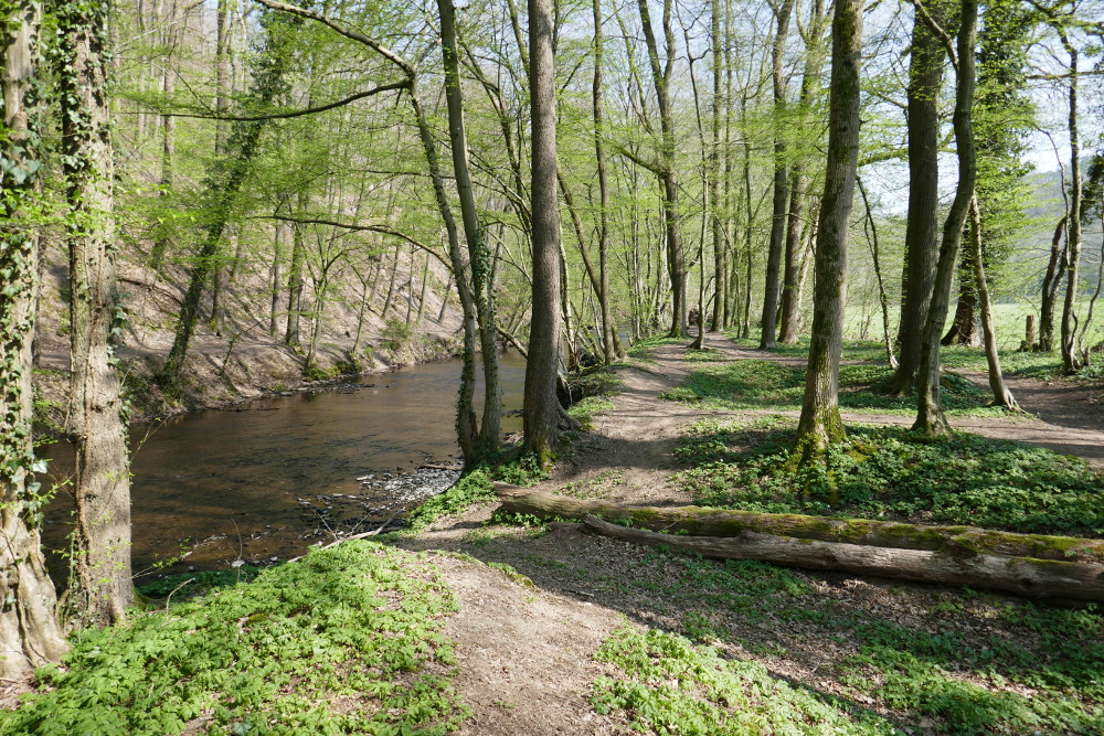 Bergische Wanderungen: Altenberger Matschwege